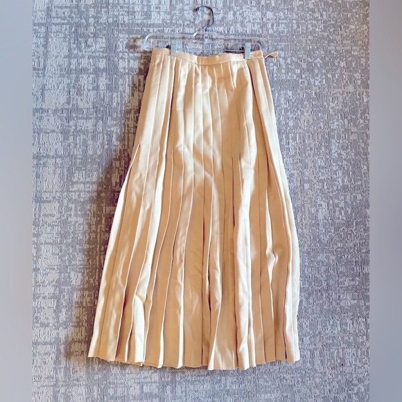 virani Dresses & Skirts - VIRANI  100% wool skirt. Pleated. Size 10. Made in Canada.